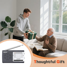 XHDATA D219 in gift-ready packaging conveying nostalgic charm and practical gifting appeal