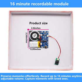 XLW Module playback mode control for customizable audio.