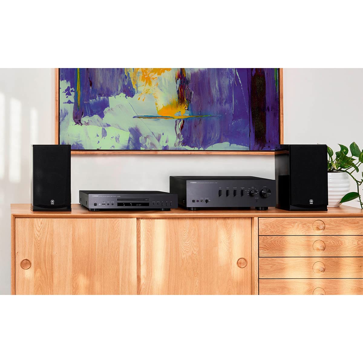 Yamaha CD-S303 back ports provide reliable connections for accessories.
