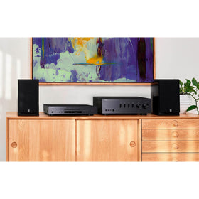 Yamaha CD-S303 back ports provide reliable connections for accessories.