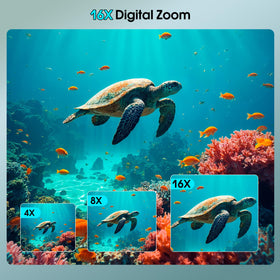 Yifecial autofocus underwater camera helps keep subjects sharp while snorkeling