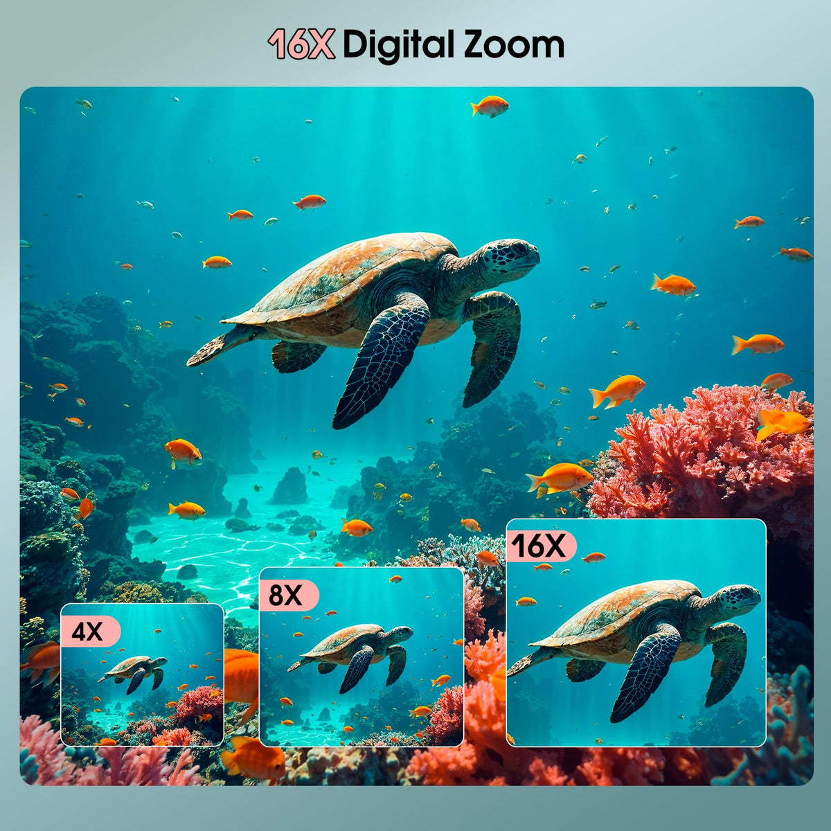 Yifecial fill light enhances close-ups in dim pools or evenings.