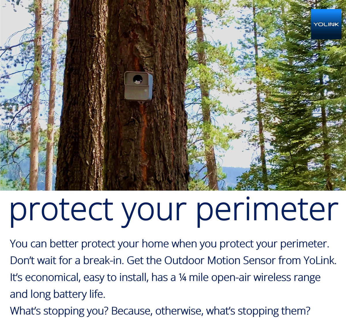YoLink sensor close-up of motion lens highlighting accurate detection capability
