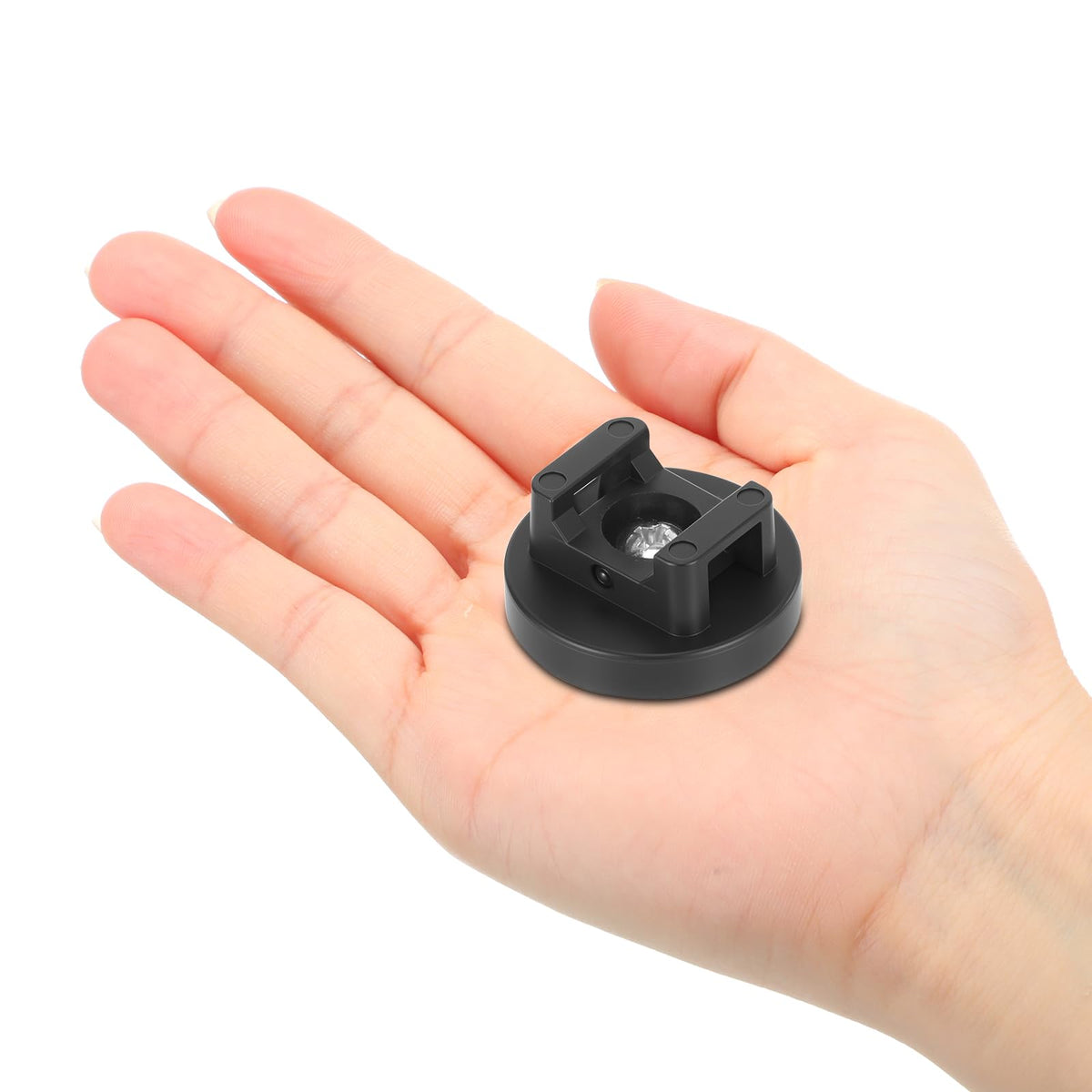 Yookeer beside ruler showing 31mm diameter for accurate size comparison