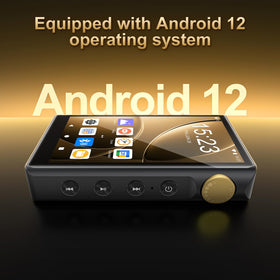 ZAQE P30 Bluetooth and Wi‑Fi for seamless wireless streaming