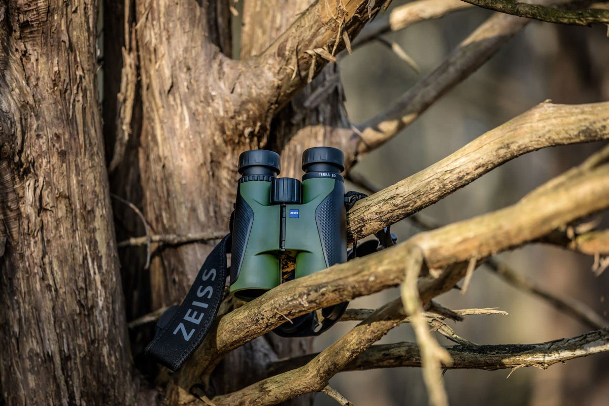 ZEISS Terra ED 8x42 hydrophobic coatings ensure clear images in rain.