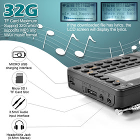 ZHIWHIS TF/MicroSD playback with seven sound effects.