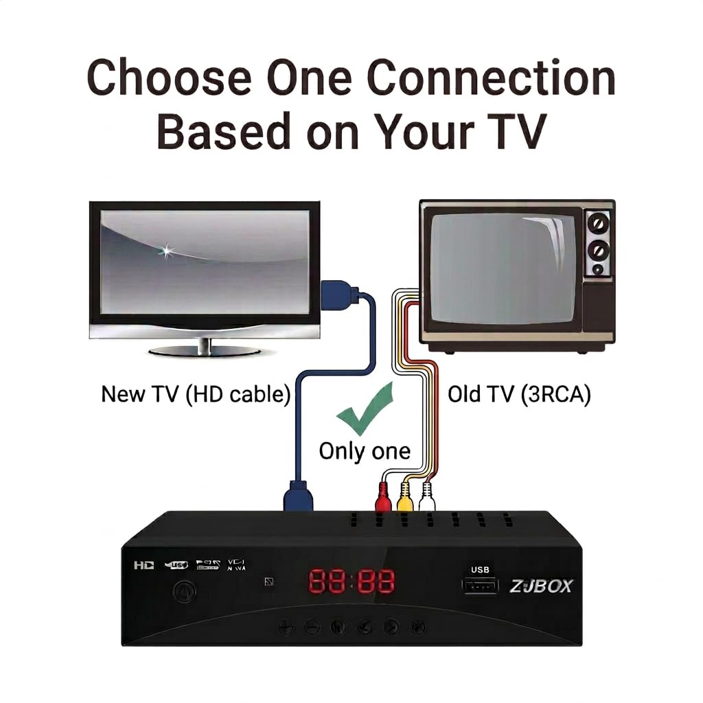 ZJBOX rear ports showing HDMI, composite, RF input for flexible connectivity