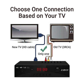 ZJBOX rear ports showing HDMI, composite, RF input for flexible connectivity