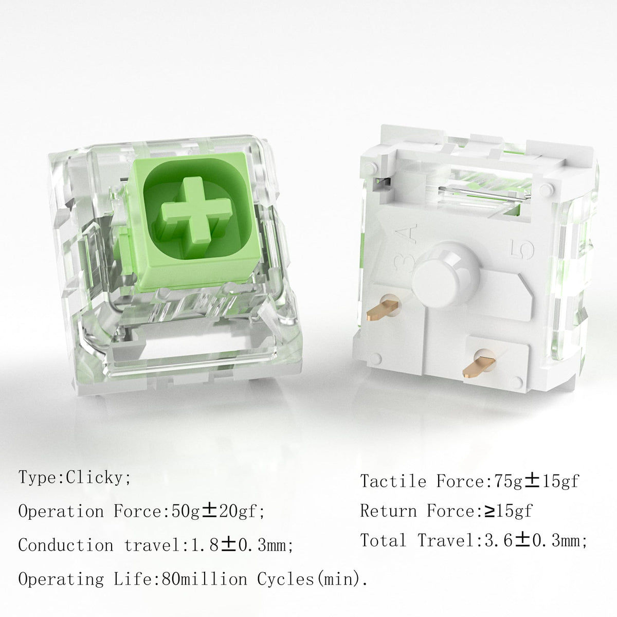 Zjmehty close-up of Box Jade stem texture and smooth travel