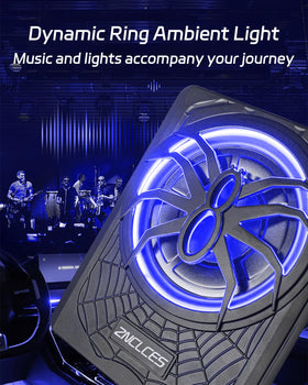 Znclces high/low input converter ensures compatibility with various stereos