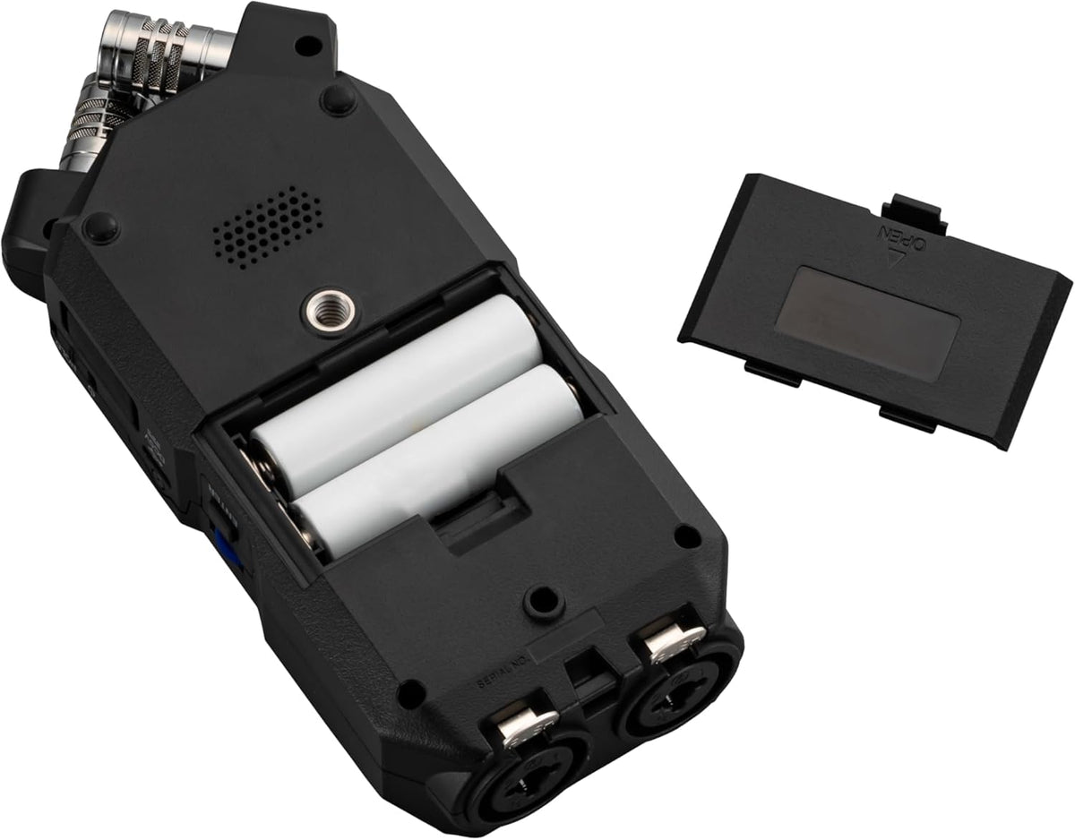 Zoom APH4e hairy windscreen reduces wind noise for outdoor shoots.