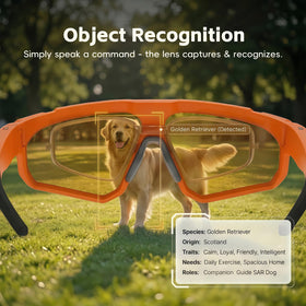 ZWJ Sport AI Smart Sunglasses app-connected for easy syncing.
